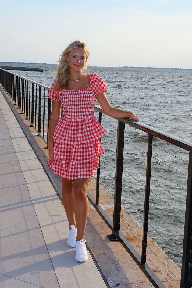 Lizzy Gingham Mini Dress