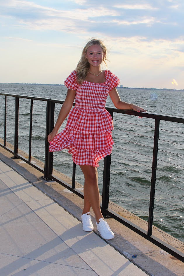 Lizzy Gingham Mini Dress